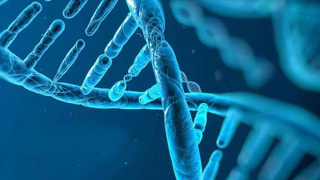 日本對長壽物質(zhì)NMN進(jìn)行人體應(yīng)用臨床研究