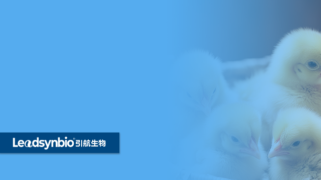 為什么說水溶性25-羥基維生素D? 是一個偽命題 ？｜產(chǎn)品科普