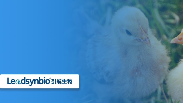 關于25-羥基維生素D?，你不得不知道的七個問答（二）｜產(chǎn)品科普